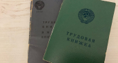 В Мордовии 76 тысяч человек оформили электронную трудовую книжку