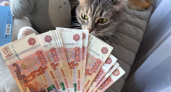 Жительница Саранска, желая заработать на инвестициях, лишилась 715 тыс. рублей