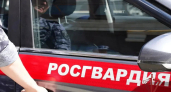 В Саранске росгвардейцы скрутили главного героя торжества прямо на банкете