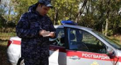 Росгвардия отчиталась о громких задержаниях в Мордовии