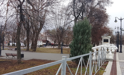 Сосновая аллея украсила территорию возле новой спортплощадки в ЖК «Восточный»